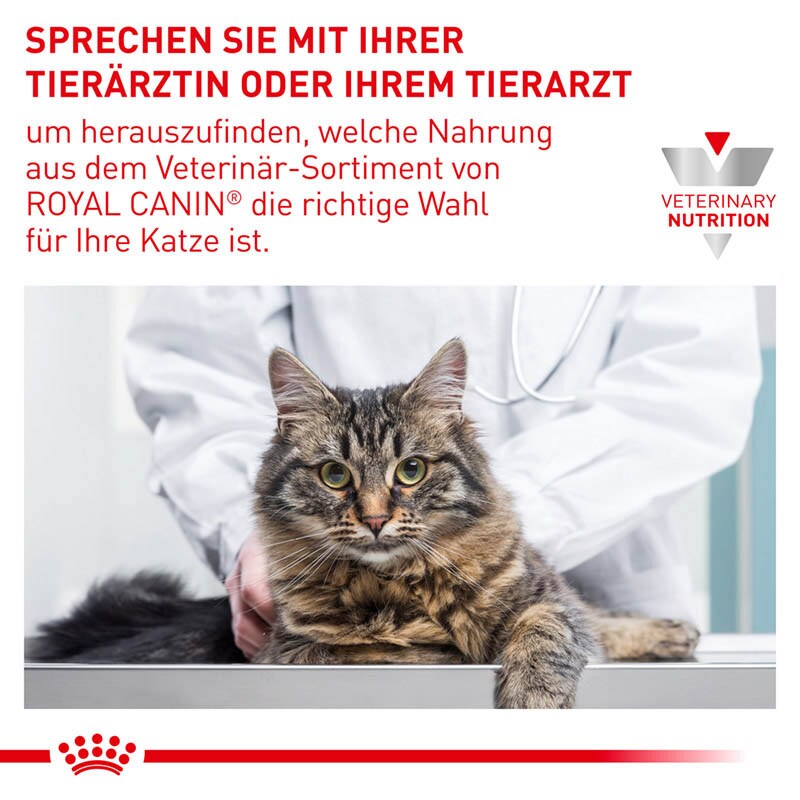 Royal Canin Expert Mature Consult Feine Stückchen in Soße Nassfutter für Katzen_6