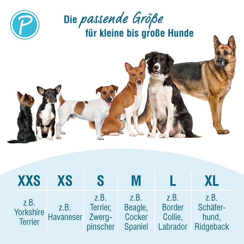 Petlando Mesh Vest anthrazit_3