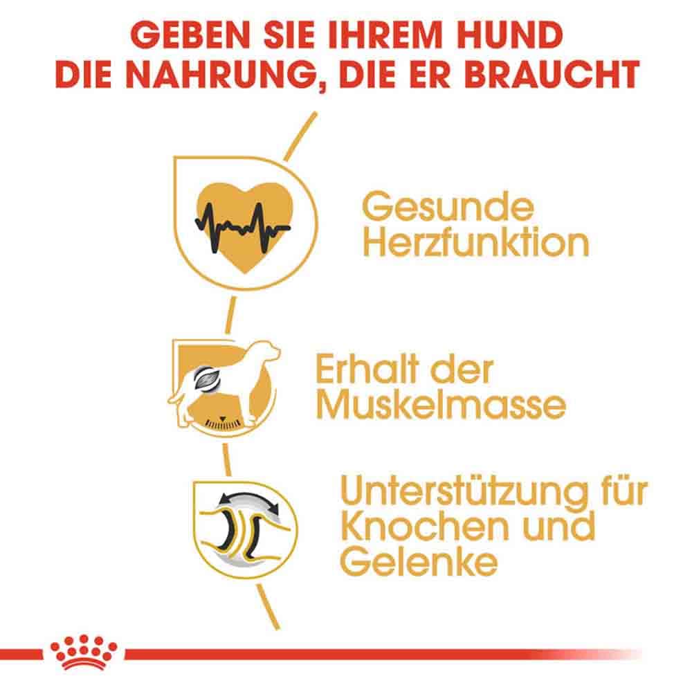 Royal Canin Rottweiler Adult Hundefutter trocken_3
