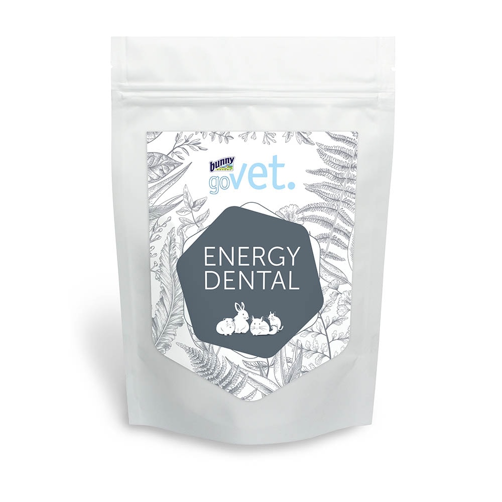 Bunny goVet Energy Dental_0