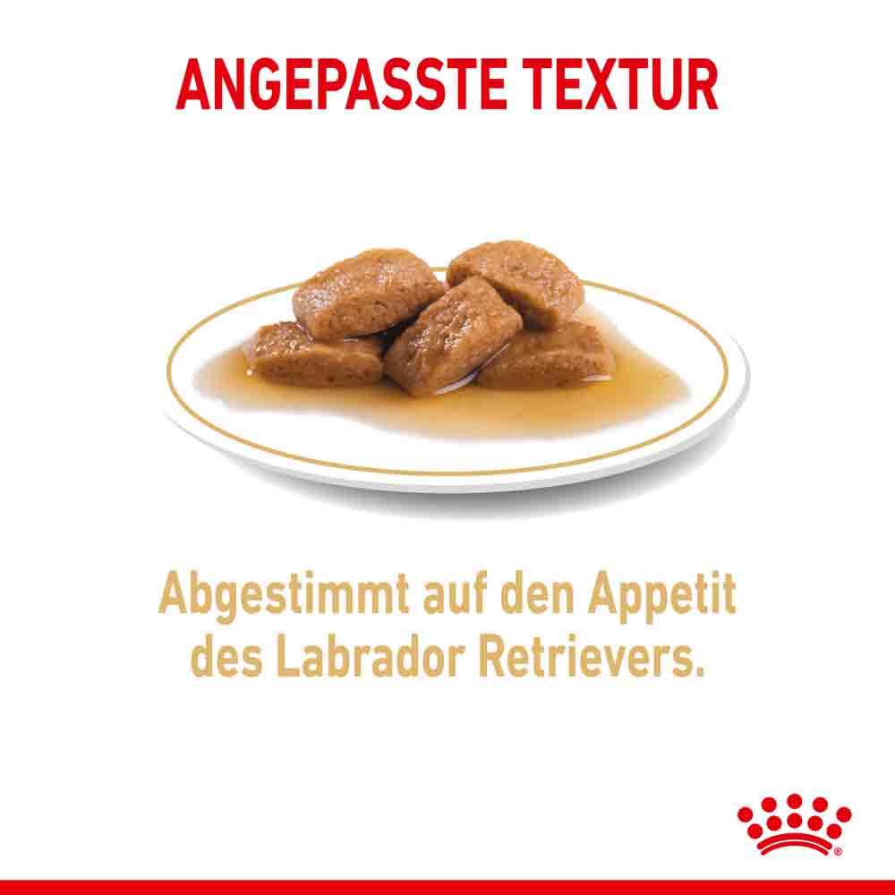 Royal Canin Labrador Retriever Adult Stückchen in Soße _3