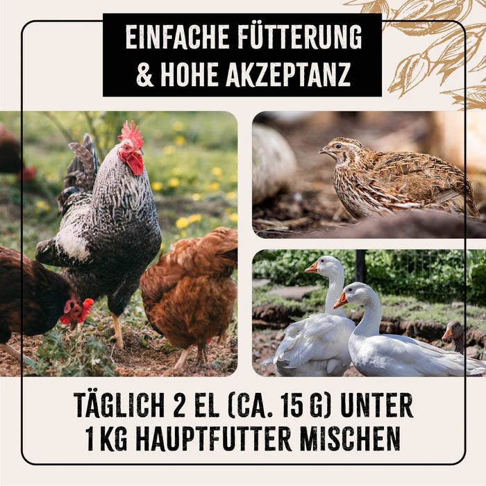 AniForte Hühnertraum_5