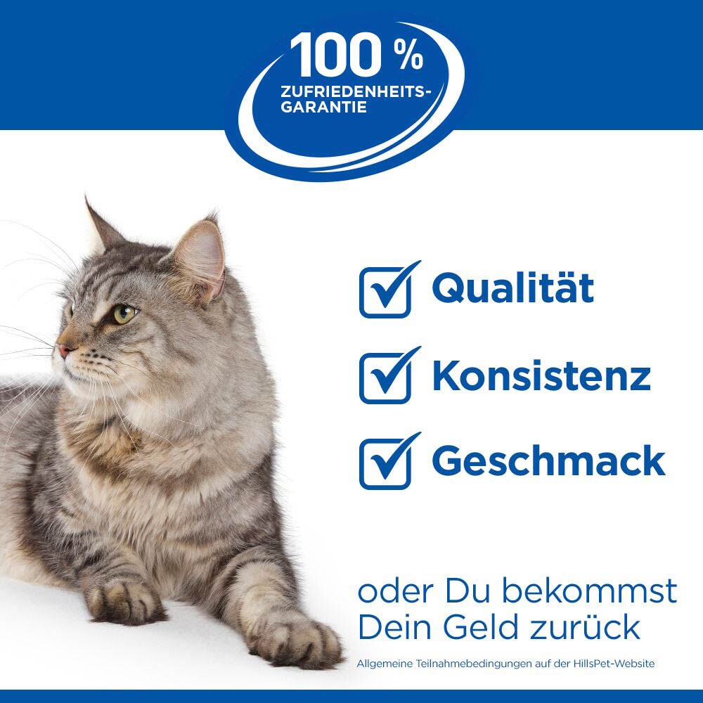 Hills Science Plan Feline Kitten Huhn_7