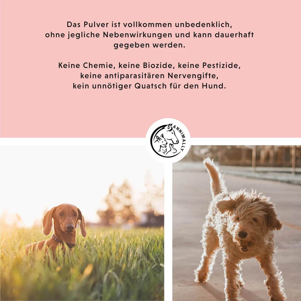Annimally Zec McWeg_2