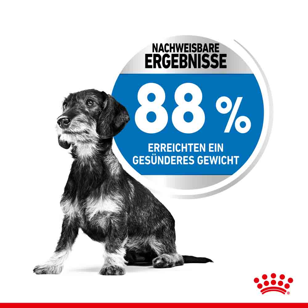 Royal Canin light weight care mini Trockenfutter für zu Übergewicht neigenden Hunden_3