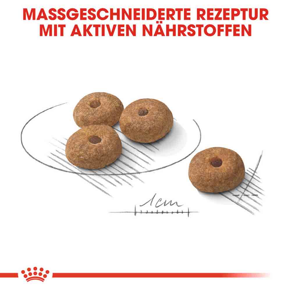 Royal Canin Sterilised Mini Trockenfutter für kastrierte kleine Hunde_4