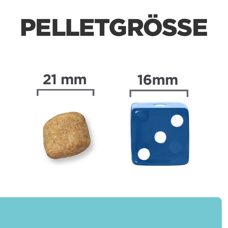 Hills Prescription Diet t/d Mini Hundefutter _2