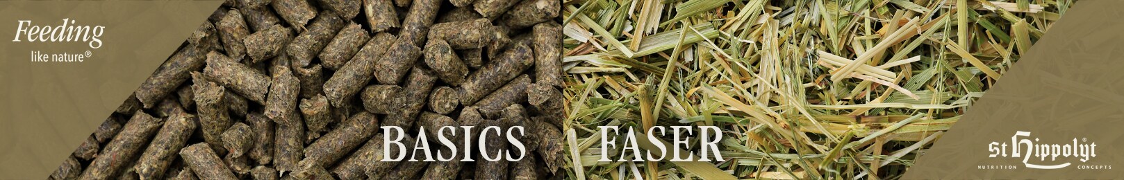 Basics und Faser