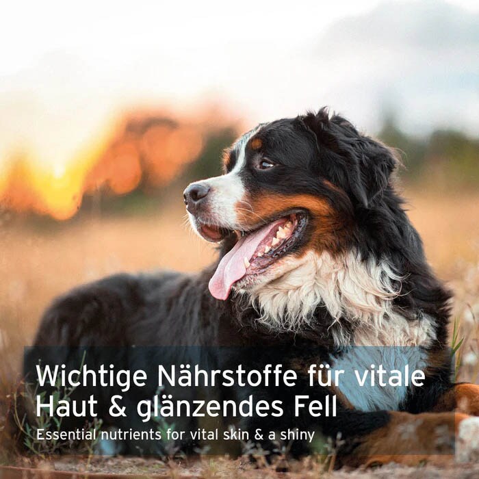 AniForte Bierhefe Pulver _5