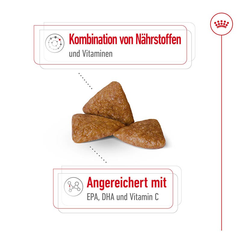 Royal Canin X-Small Ageing 12+ Trockenfutter für ältere sehr kleine Hunde_2