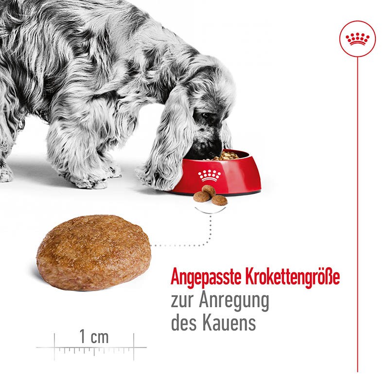 Royal Canin Medium Adult 7+ Trockenfutter für ältere mittelgroße Hunde_2