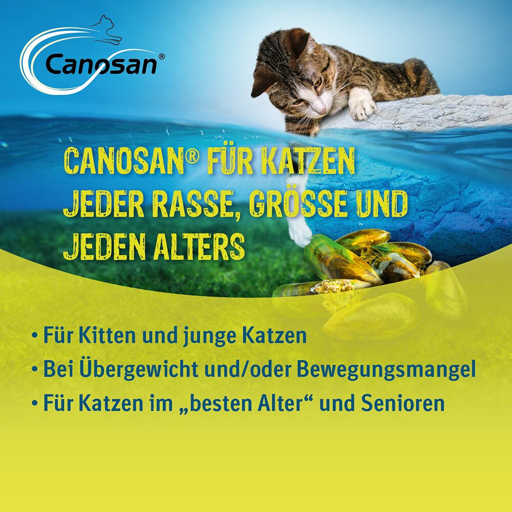 Boehringer Ingelheim Canosan Kautabletten Katze_1