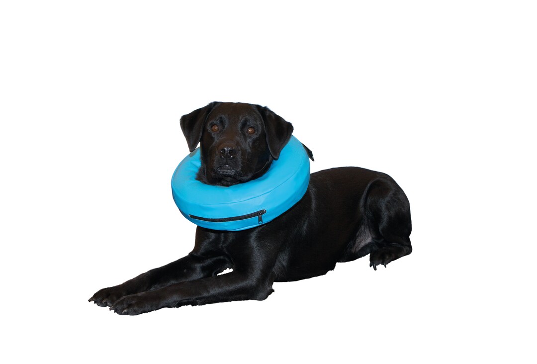 Halskragen Inflatable Buster_0