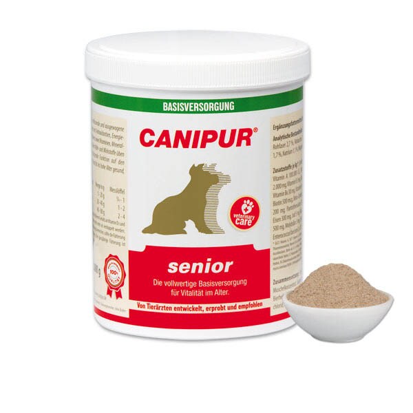 Canipur senior_0