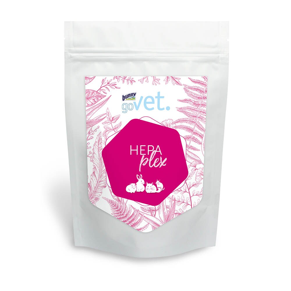Bunny goVet HEPAplex_0