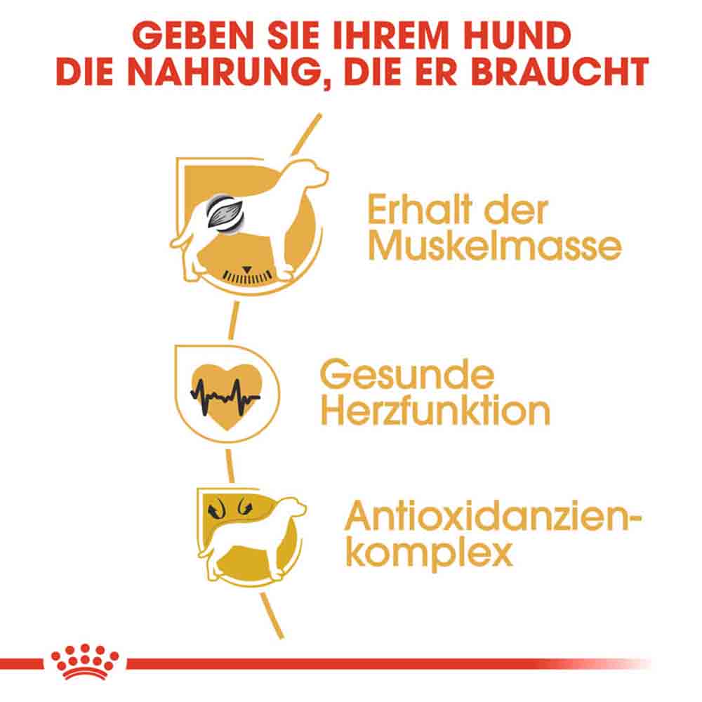 Royal Canin Boxer Adult Hundefutter trocken_3