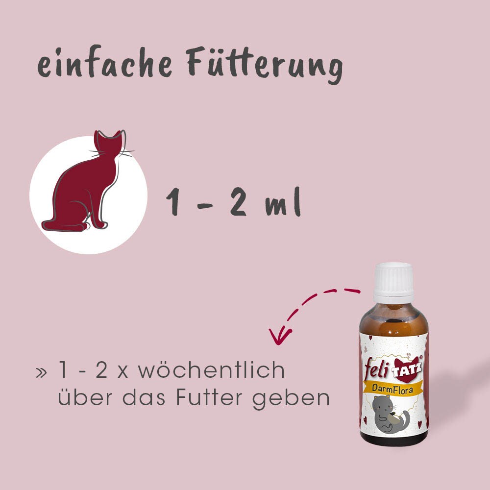 cdVet feliTATZ DarmFlora_4