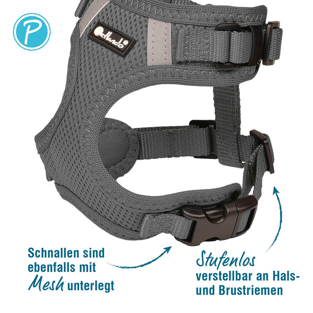 Petlando Mesh Vest anthrazit_2