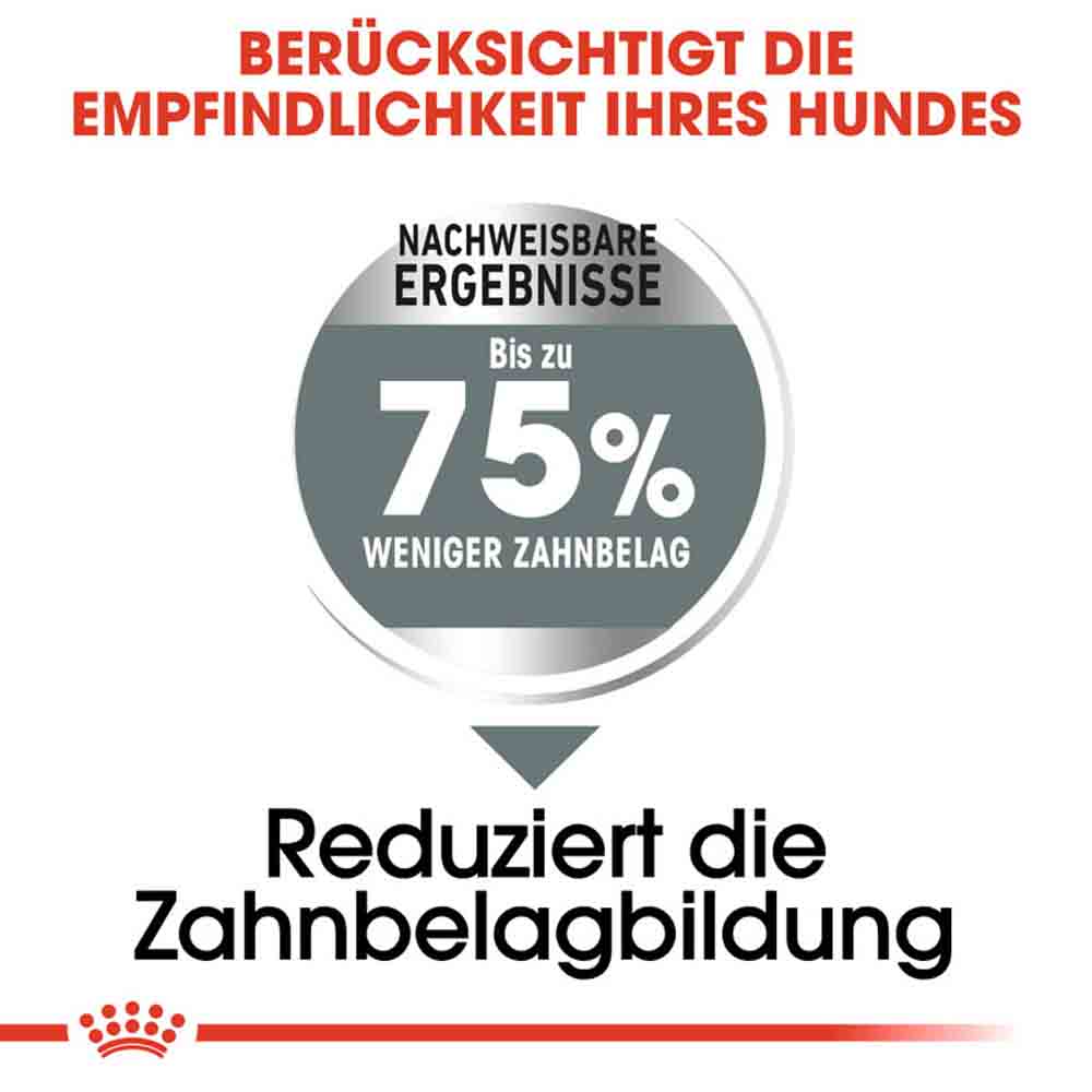 Royal Canin Dental Care Maxi Trockenfutter für große Hunde mit empfindlichen Zähnen_3
