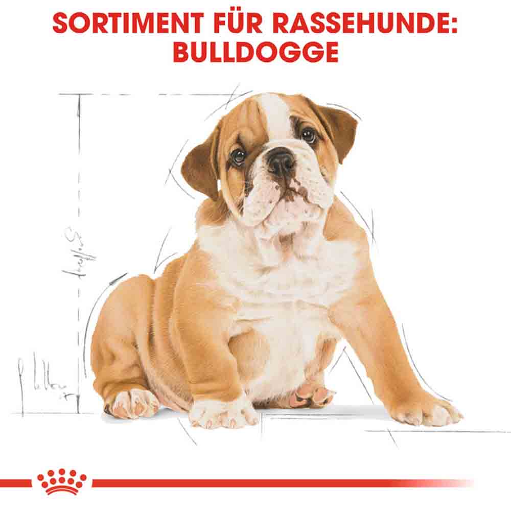 Royal Canin Bulldog Puppy Welpenfutter trocken_5