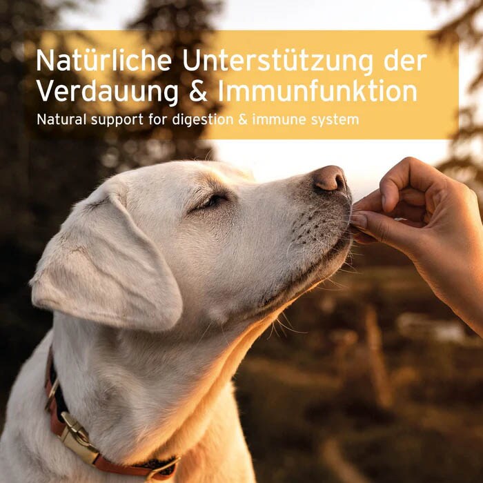 AniForte Prebiotic TopinPur VET Kombi_4