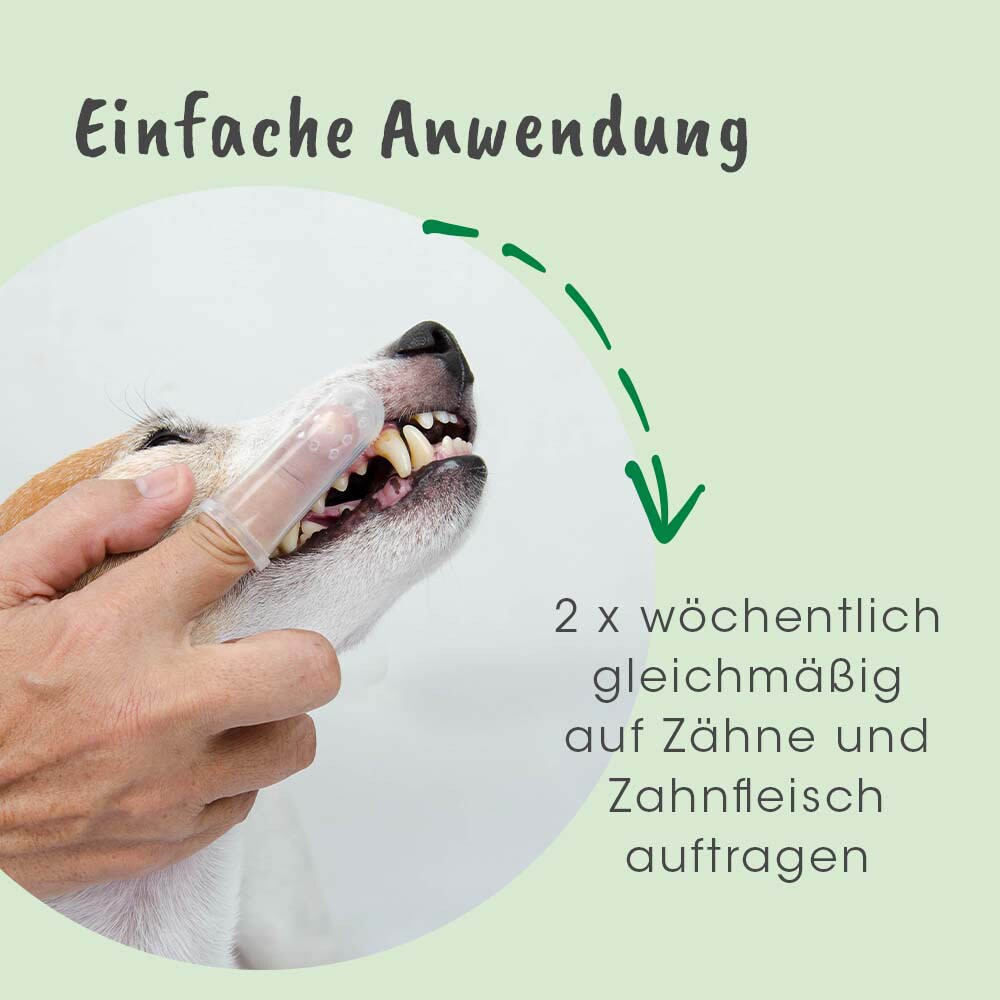 cdVet dentaVet Gel_3