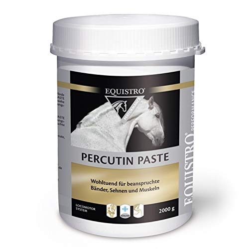 Equistro Percutin Paste_0