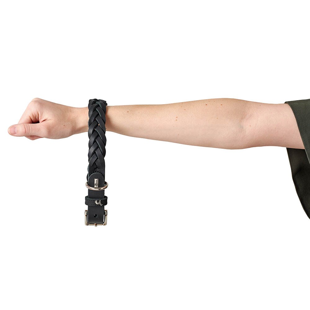 Hunter Halsband Solid Education Special schwarz_2