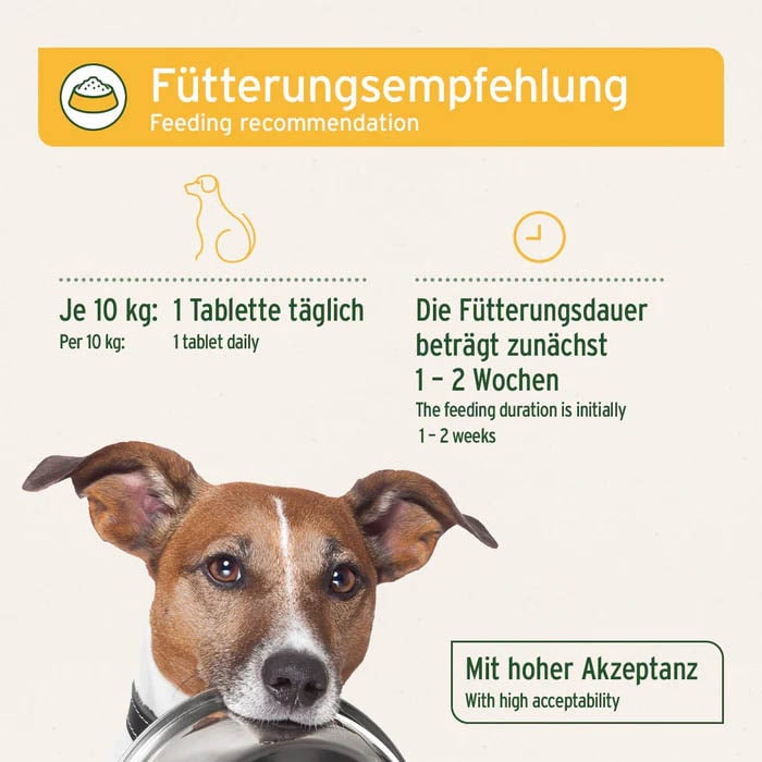 AniForte plus Magen & Darm_4