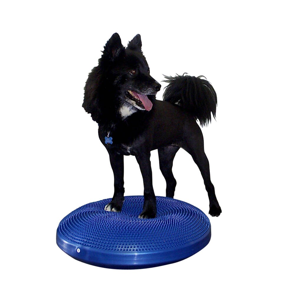 FitPaws Balance Disc_1