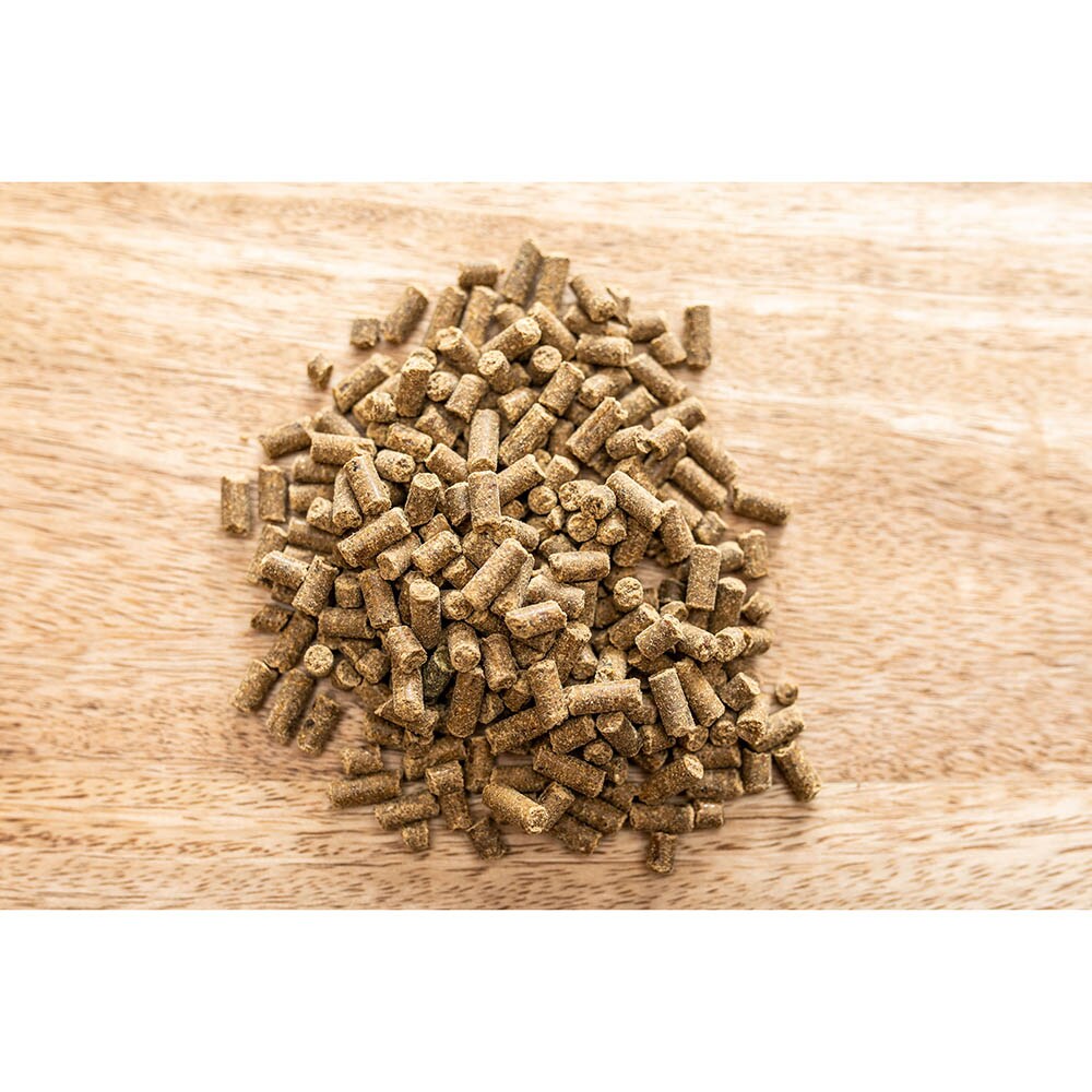 St. Hippolyt Magnesium B12_1