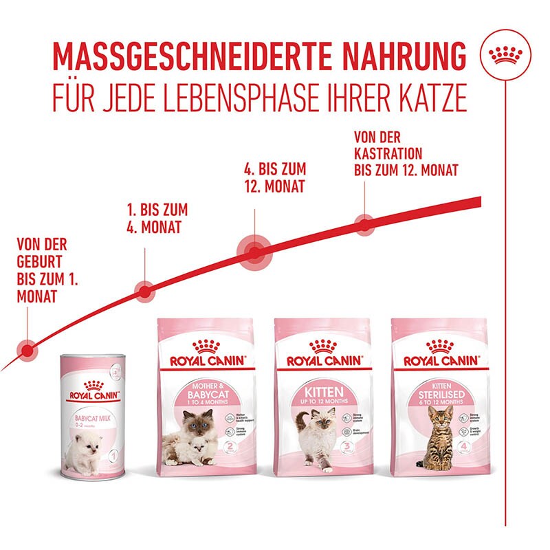 Royal Canin Kitten Trockenfutter_5