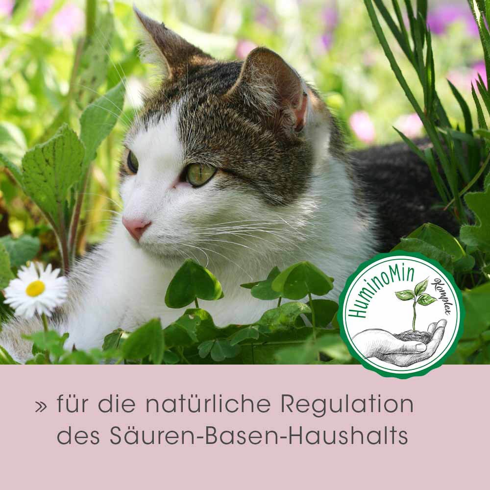 cdVet feliTATZ Magenschutz_2