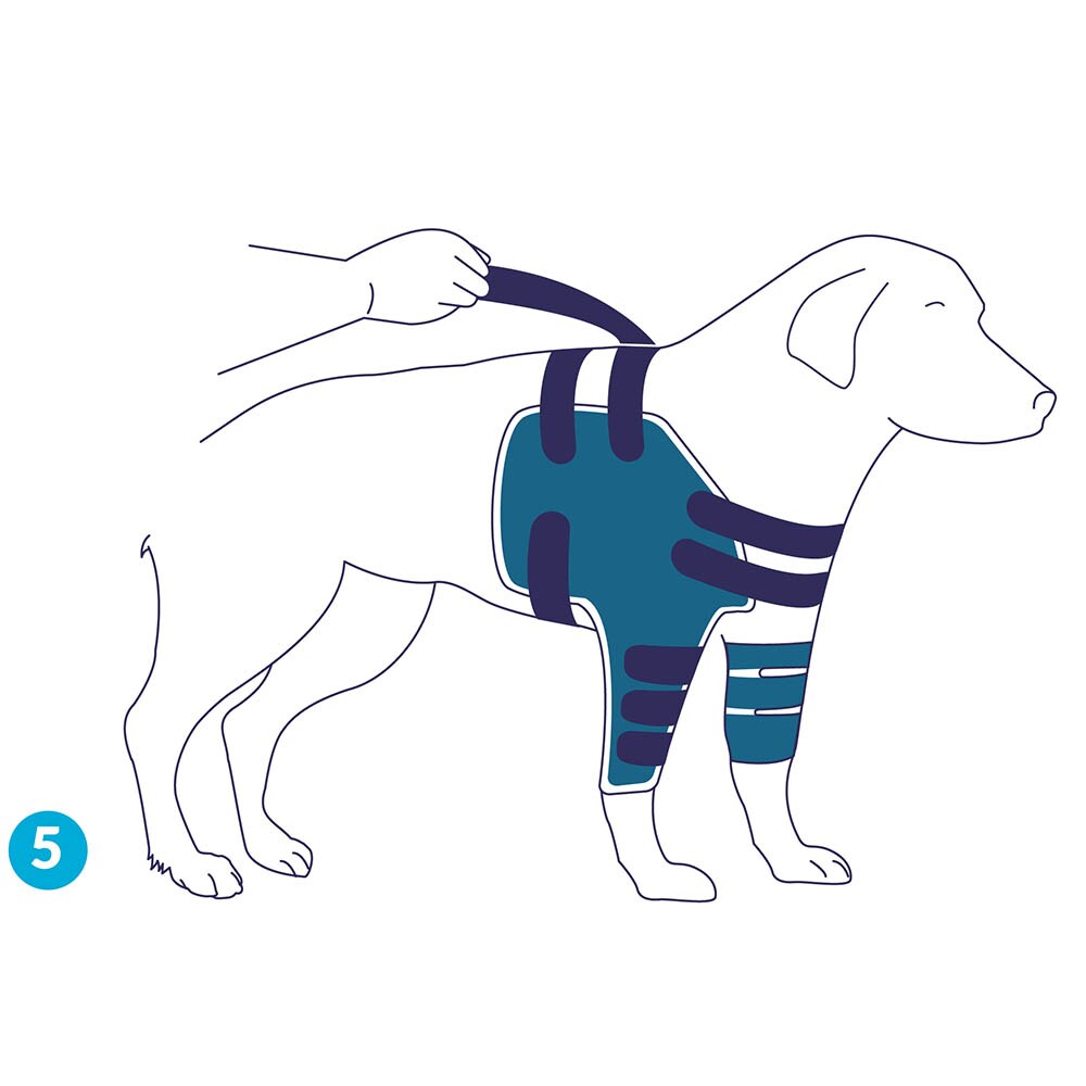 Balto Rehab-Orthese BT Lux_5
