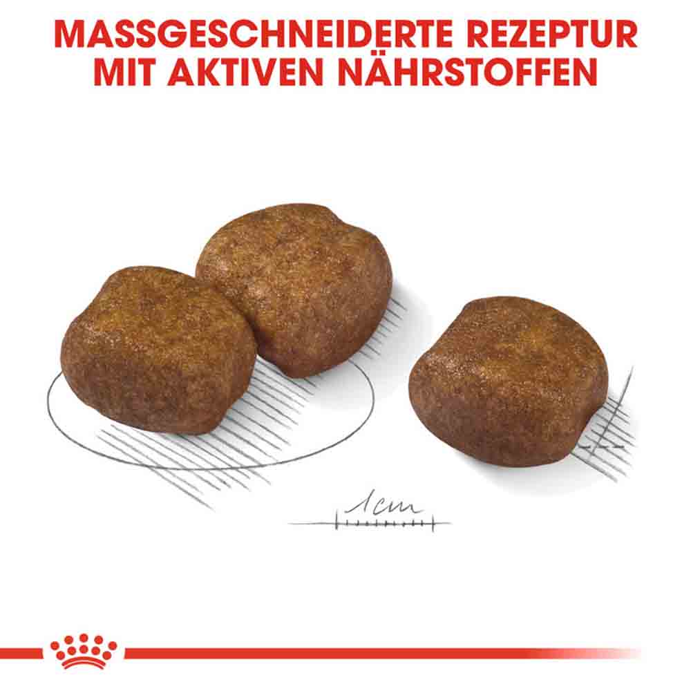 Royal Canin Dental Care Maxi Trockenfutter für große Hunde mit empfindlichen Zähnen_4