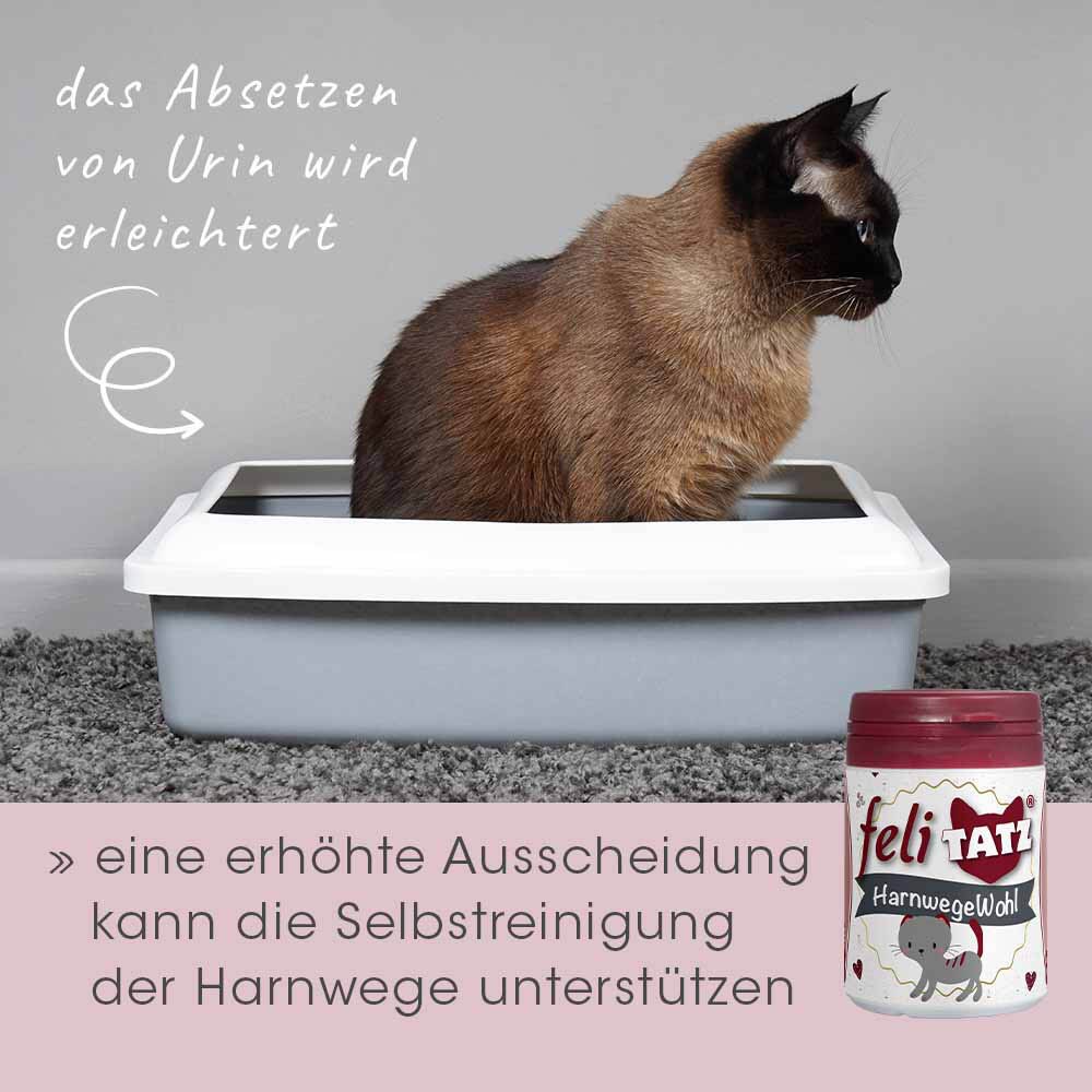 cdVet feliTATZ HarnwegeWohl_6