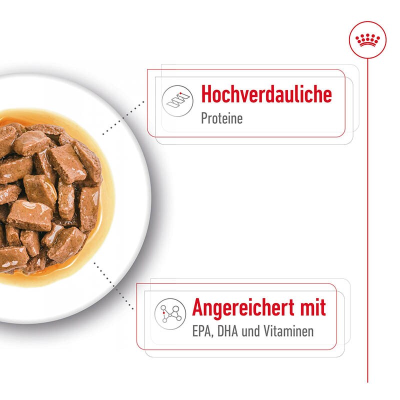 Royal Canin Maxi Ageing Feuchtnahrung als Stückchen in Soße (>5. Lebensjahr)_2
