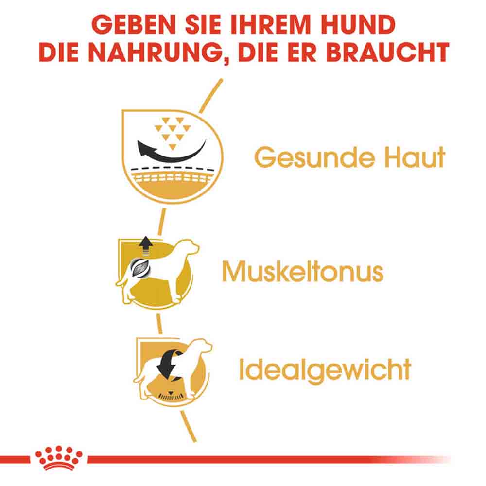 Royal Canin Pug Adult Hundefutter trocken_3