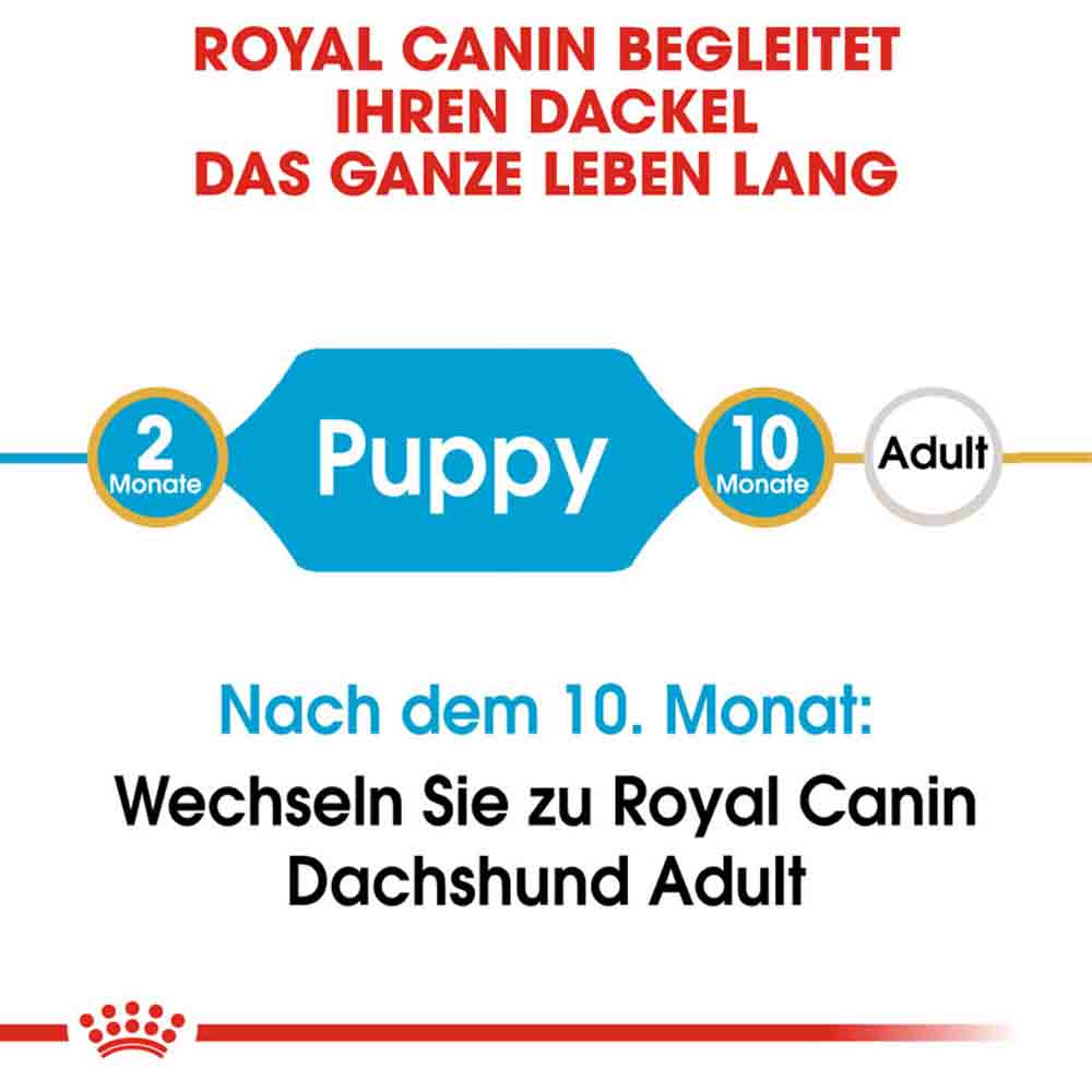 Royal Canin Dachshund Puppy Welpenfutter trocken_2