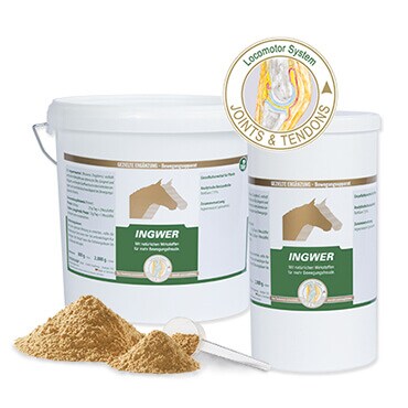 Vetripharm Ingwer_0