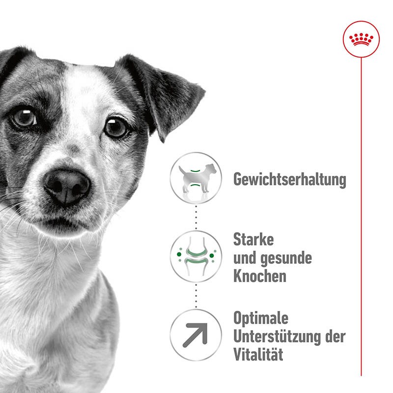 Royal Canin Mini Adult 8+ Trockenfutter für ältere kleine Hunde_1