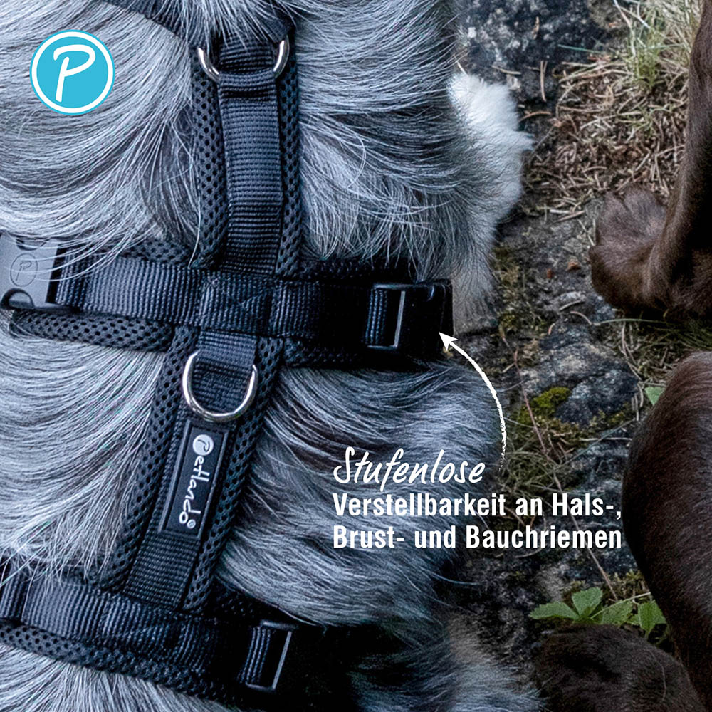 Petlando Sicherheitsgeschirr schwarz_3