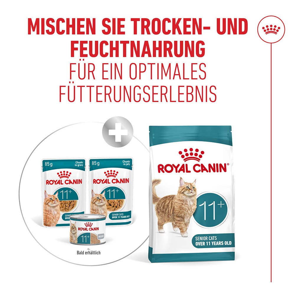 Royal Canin Ageing 11+ Feuchtnahrung in Gelee für Senior Katzen ab dem 11. Lebensjahr_7
