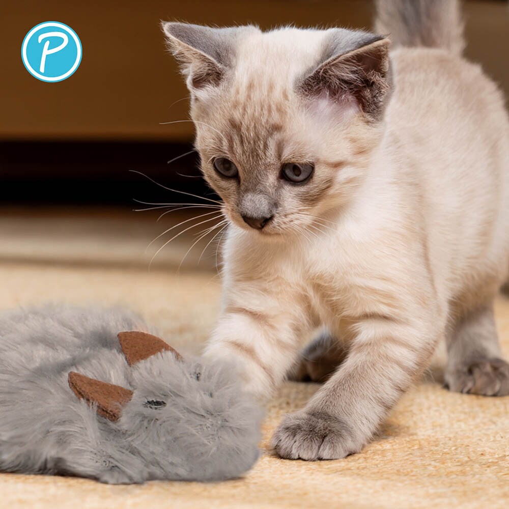 Petlando Katzenspielzeug Plüschmaus_2