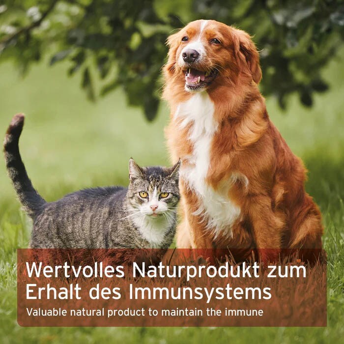 AniForte Bio Spirulina_5