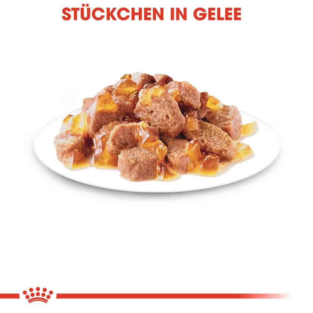 Royal Canin Instinctive Katzenfutter nass in Gelee_3