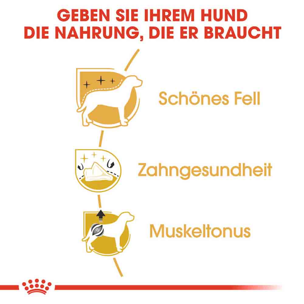 Royal Canin Poodle Adult Hundefutter trocken_3