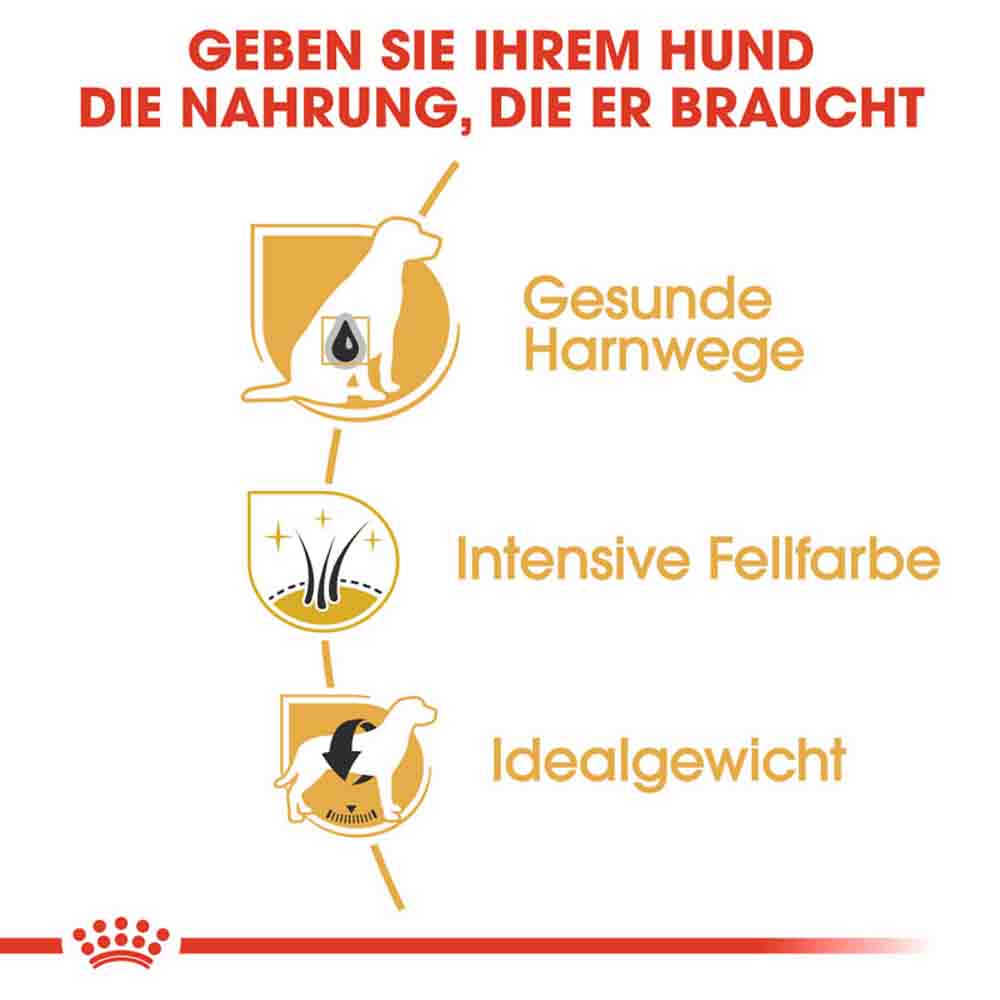 Royal Canin Miniature Schnauzer Adult Hundefutter trocken_3
