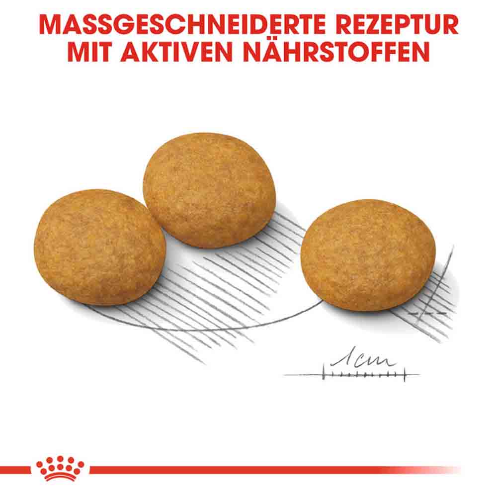 Royal Canin Dermacomfort Medium Trockenfutter für mittelgroße Hunde mit empfindlicher Haut_4