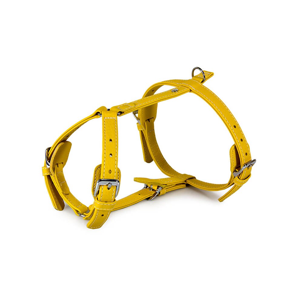 Das Lederband Barcelona Geschirr Vibrant-Yellow_0